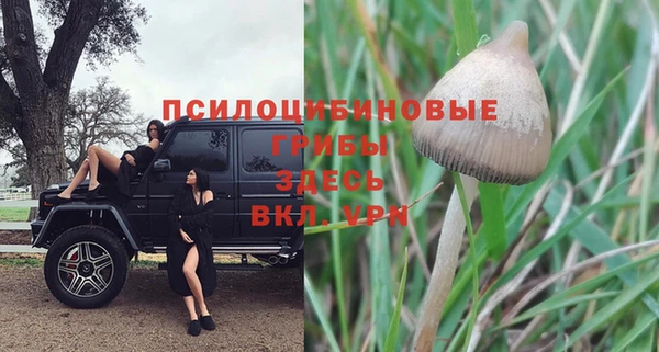 альфа пвп Богородск