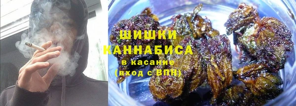 мяу мяу мука Богданович